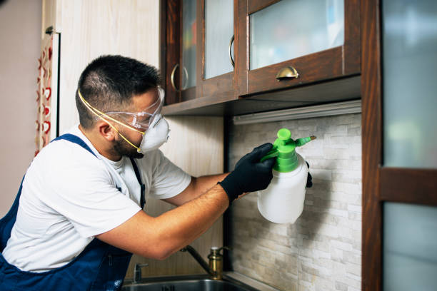 Best Pest Removal Services  in Guntersville, AL