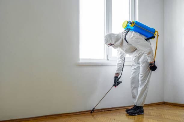 Best Emergency Pest Control  in Guntersville, AL