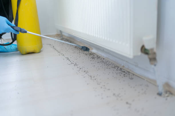Best Mosquito Control Services  in Guntersville, AL