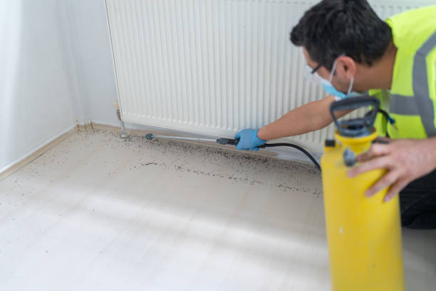 Best Pest Control for Homes  in Guntersville, AL