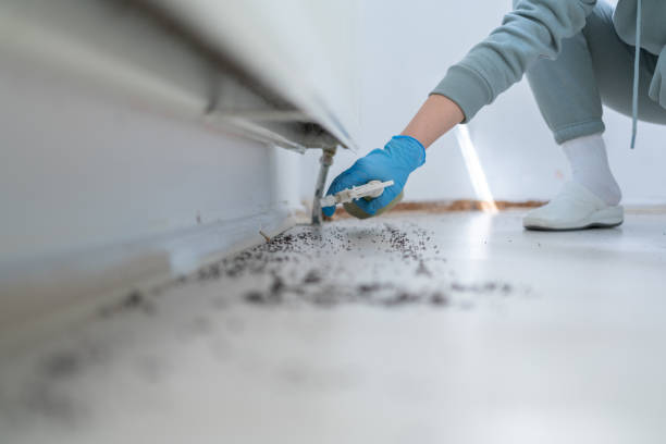 Best Termite Control Services  in Guntersville, AL