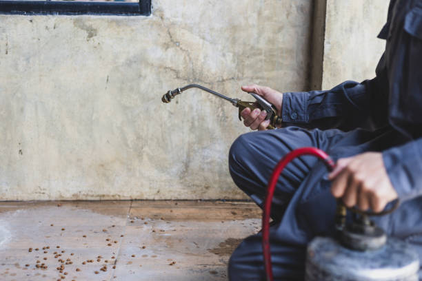Best Exterminator Services  in Guntersville, AL